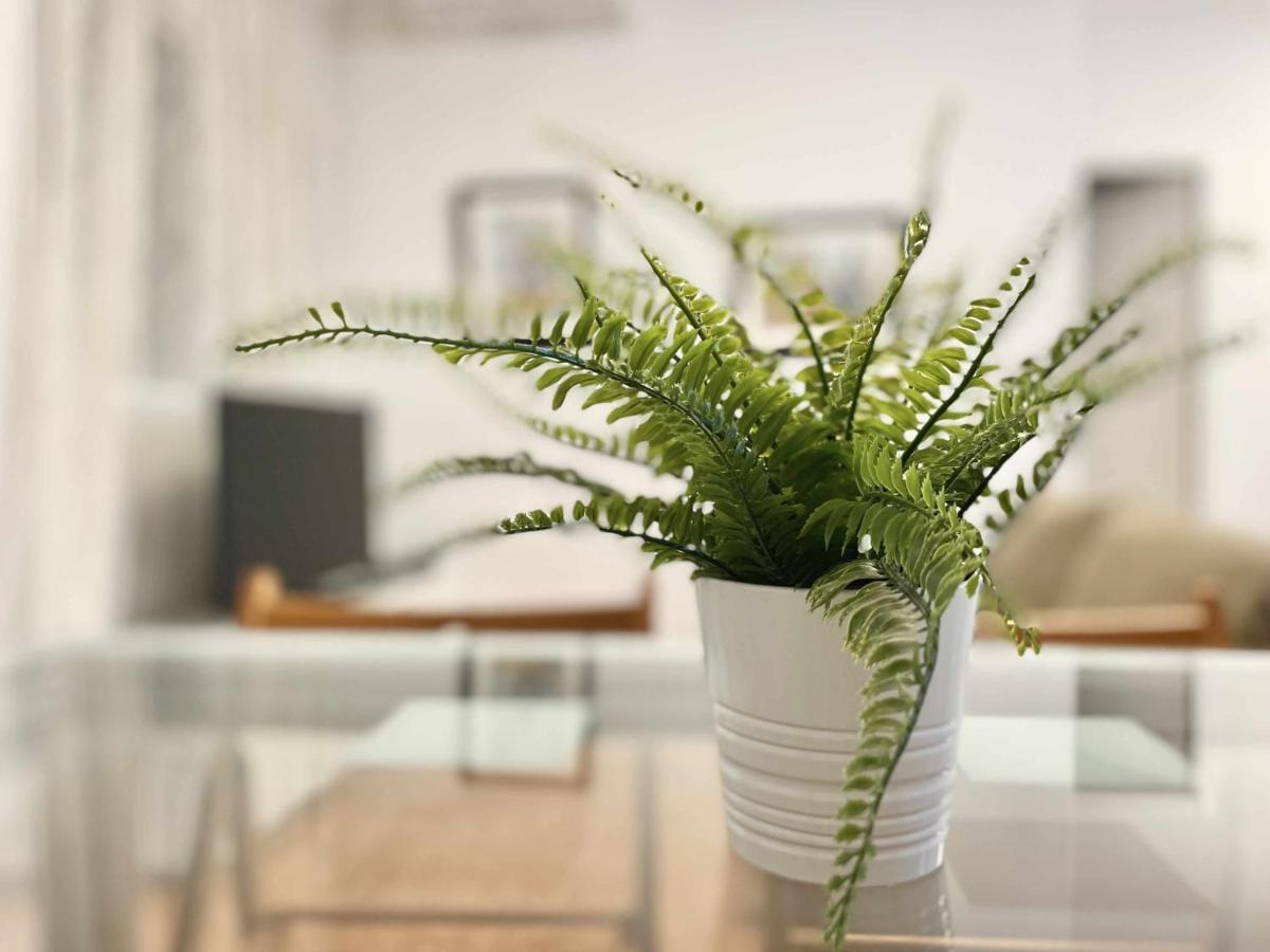 Apartamento En El Centro De Malaga En El Soho Eksteriør billede